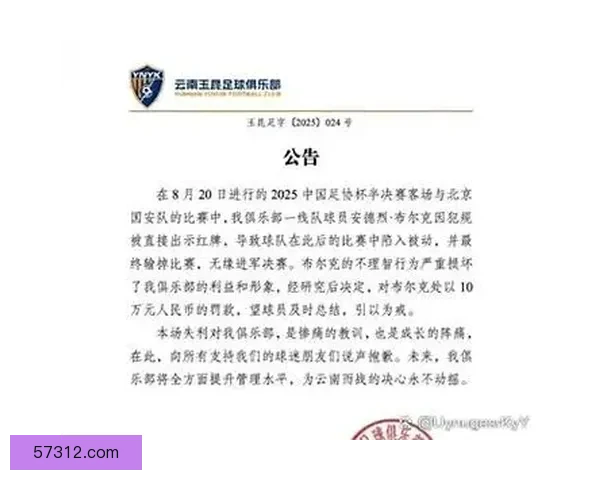 足协认定国安遭误判 深圳外援逃红牌